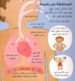 ⁦انظر داخل جسمك⁩ - الصورة ⁦6⁩